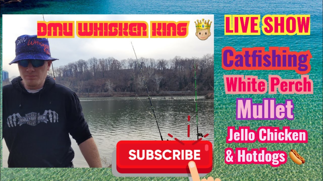LIVE CATFISHING YouTube