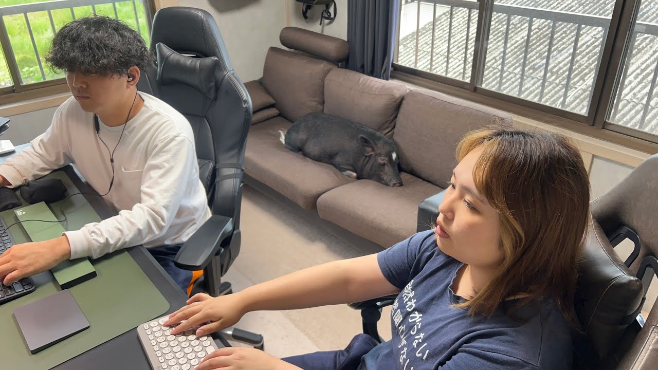 マイクロブタと暮らすフリーランス夫婦のモーニングルーティン