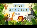 Children's Sleep Meditation ANIMAL SLEEP STORIES COLLECTION Kids Guided Meditation