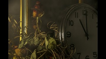 The way Of Purity  "11"