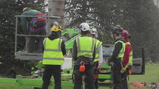 Study an Arboriculture Apprenticeship at Bicton College VOD