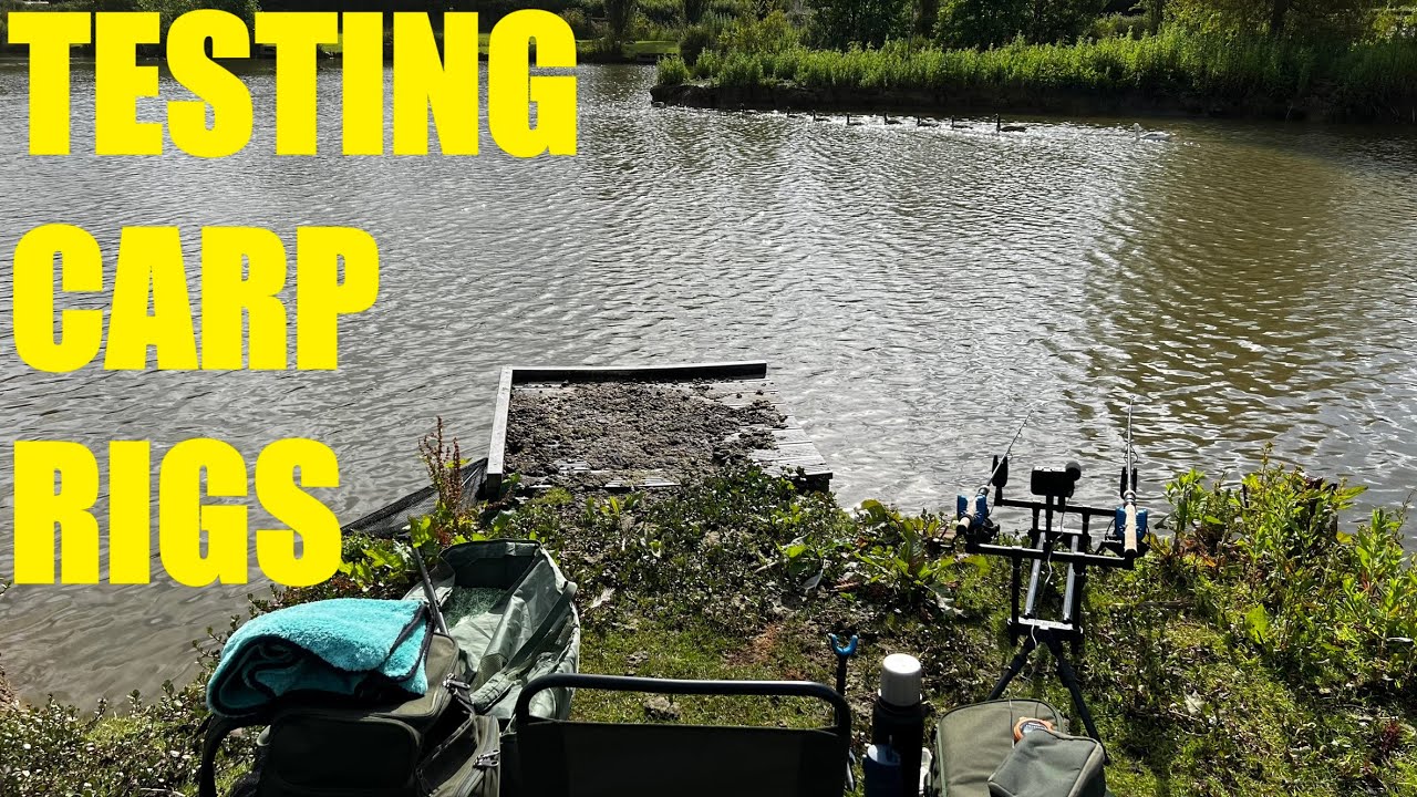 Testing carp rigs - Catching carp on worms and pellet rather than ...