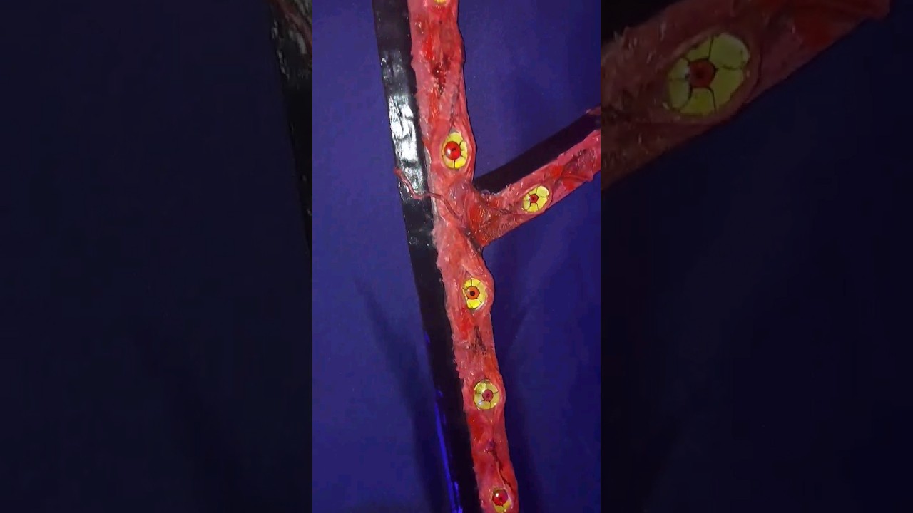 Kokushibo's Blades 👹 #demonslayer #kokushibo #cosplay cosplay