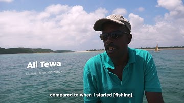 Join the Community of Action for Coral Reefs