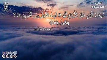 استمع إلى سورة ( يس ) مع القارئ الشيخ أحمد حلاوة