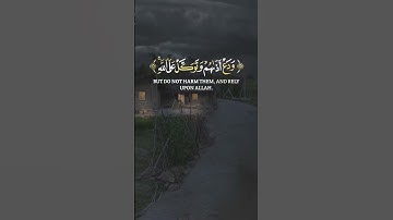 القارئ عبد الباسط😴❤️قرآن كريم بصوت جميل جدا❤️#حالات واتس اب دينية قصيرة#سبحان الله
