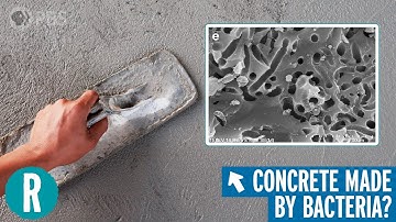 The Bioconcrete Revolution (maybe)