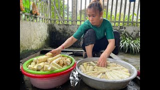 Two sisters went into the forest to look for bamboo shoots at the end of the season