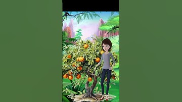 How to Save Your Fairchild Tangerine Trees #TreeDiseases #TreeExpert #TreeDoctor