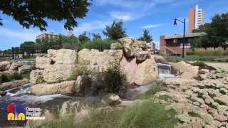 107 E Springfield Apartment Tour