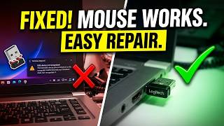 Wireless Mouse Receiver Not Working? Try This