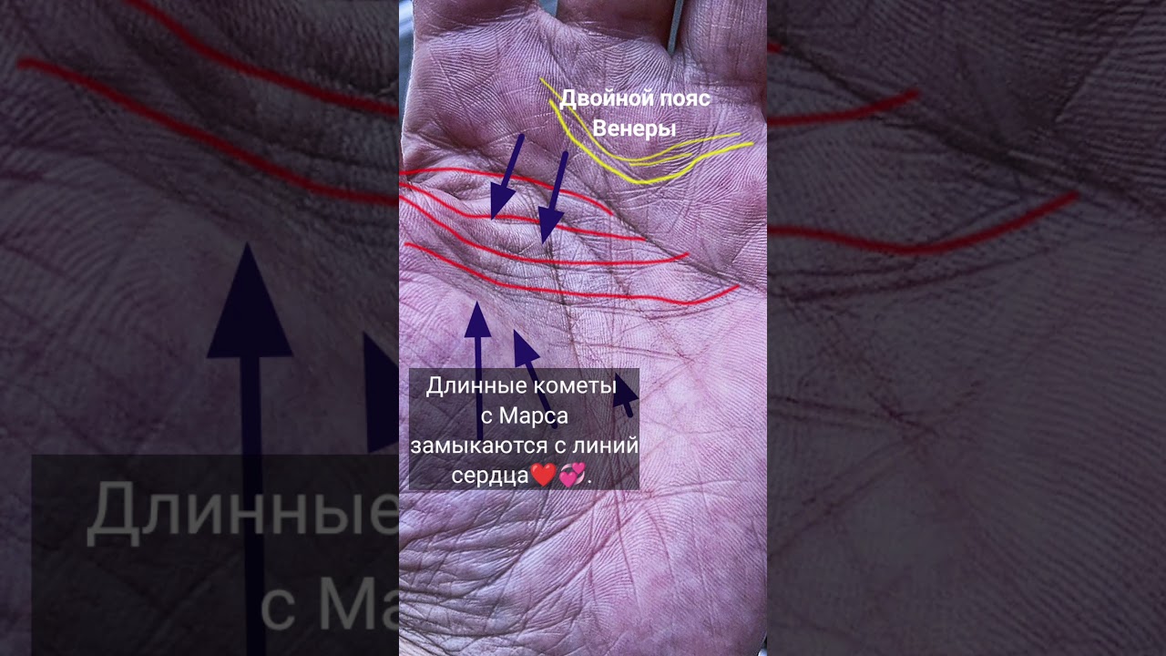 Внебрачные страсти. 