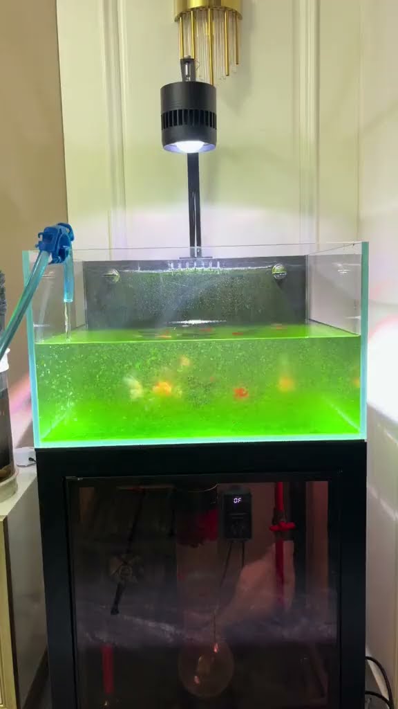 oardefault.jpg?sqp=-oaymwEkCJUDENAFSFqQAgHyq4qpAxMIARUAAAAAJQAAyEI9AICiQ3gBu0026rs=AOn4CLArF7JRn1xAlda6f-J9-DDSl_2RVQu0026usqp=CCk