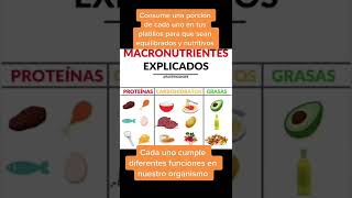 Macronutrientes explicado #fitness #nutricion #macronutrientes