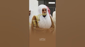 قبس من تلاوة فضيلة الشيخ #الوليد_الشمسان من صلاة التراويح 1 #رمضان 1446هـ