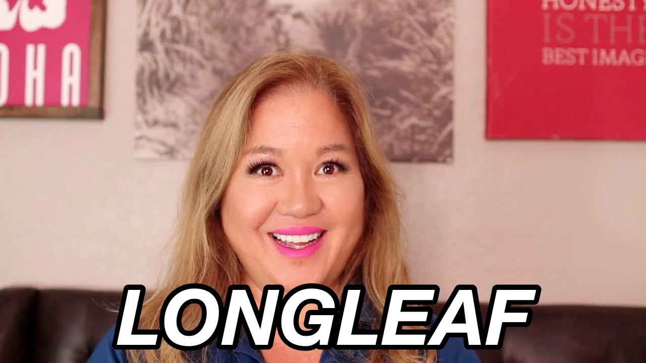 Longleaf in New Port Richey Florida: Homes SOLD in December 2020 // Tampa Bay Real Estate Show