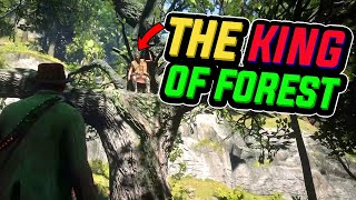 I Killed The Hermit King of the Forest | Red Dead Redemption 2