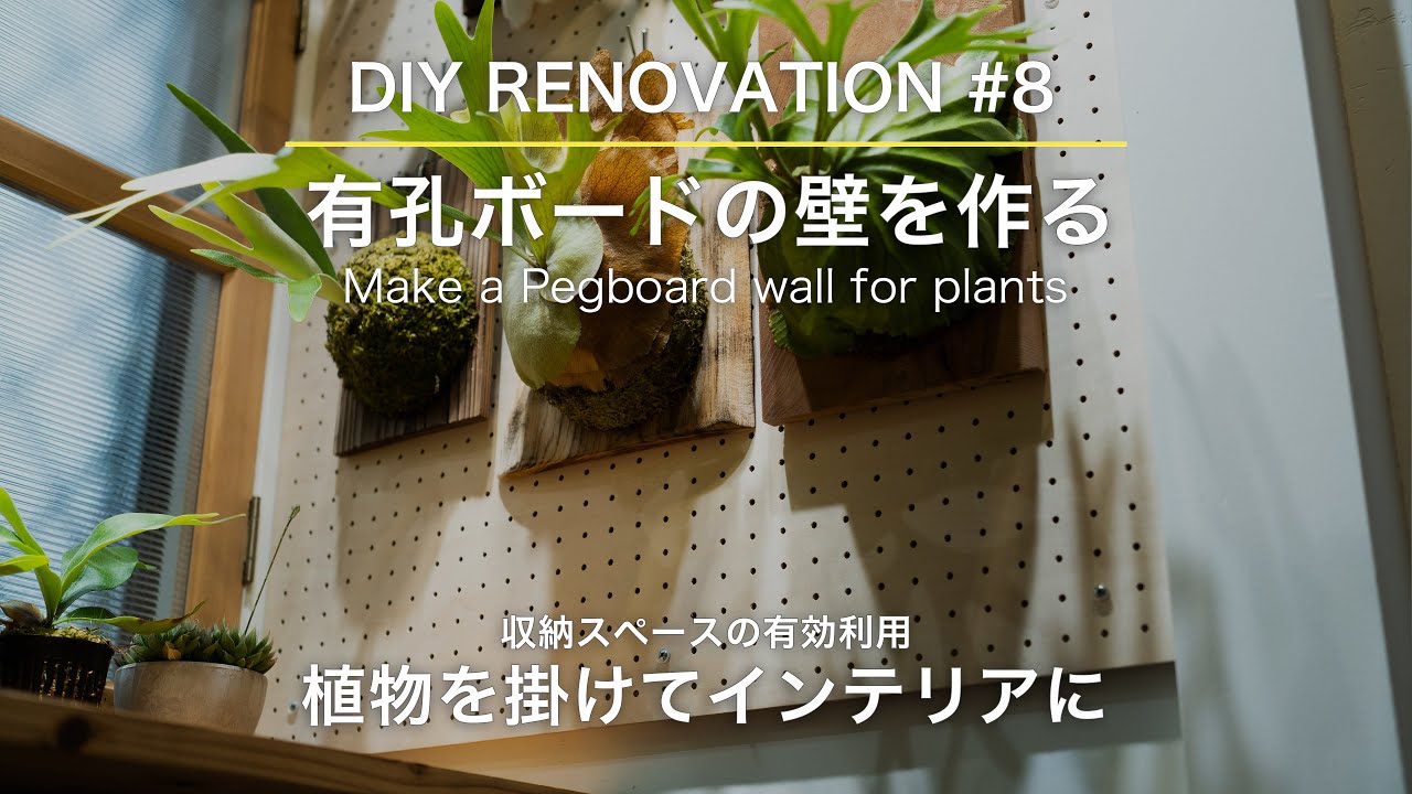 賃貸OK！DIYで壁に有孔ボードを取り付ける。ビカクシダの壁掛け棚を作りたい