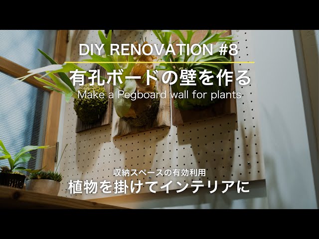 Make a wall of pegboard for Staghorn ferns wall - YouTube