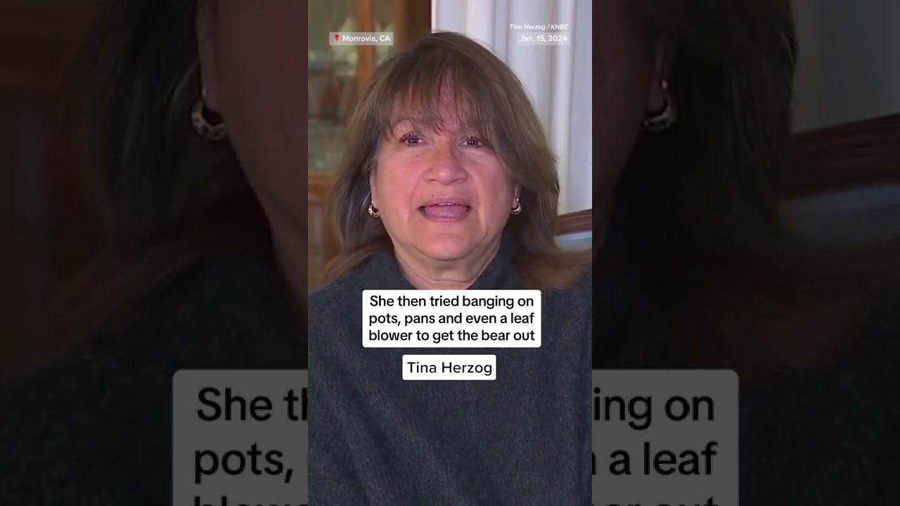 Bear breaks into basement of California home