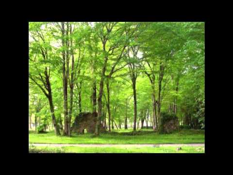 ვაგომტაროზ, დომიჭვიმ   - ლია ანთია