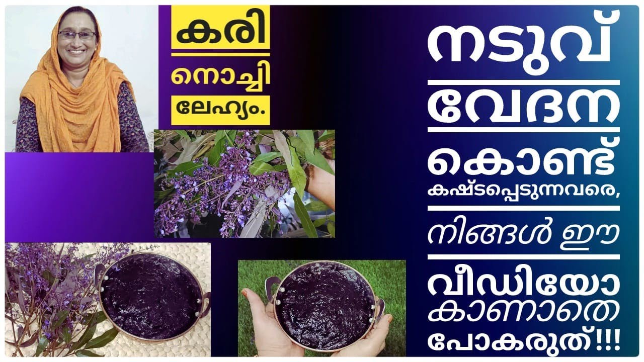 നടുവ് വേദന ജീവിതത്തിൽ വരില്ല ഇതൊന്നു കഴിച്ചു നോക്കൂ/കരിനൊച്ചി ലേഹ്യം/Karinochi/ Saji'sHomecafe/