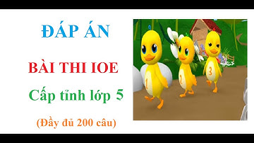 IOE lớp 5 cấp tỉnh | Thi thử IOE cấp tỉnh lớp 5 Học cùng Vịt con