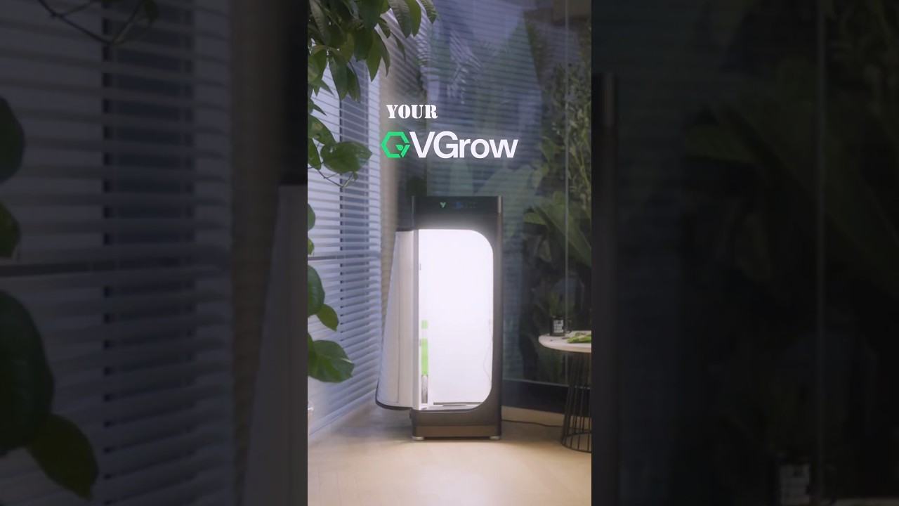 3 Steps to Grow Your Plant in the VGrow Smart Grow Box. 