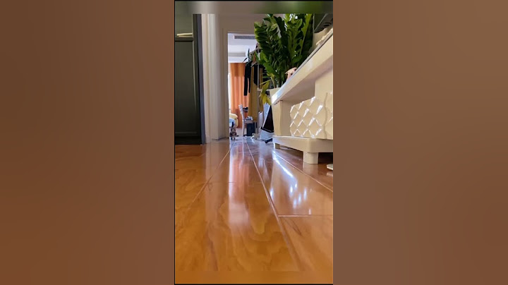Vous ne verrez aucun chat plus mignon
