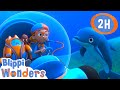 Blippi Learns About Dolphins Blippi Wonders Preschool Learning Moonbug Tiny TV 