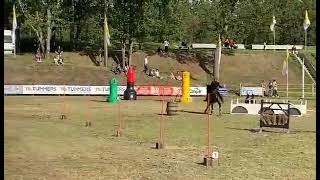 Working Equitation Europacup Hulsteren Of Fort De Roovere Met Gumbal