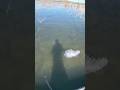 Lake perris