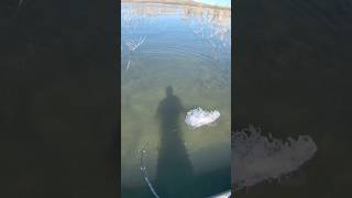 Lake perris