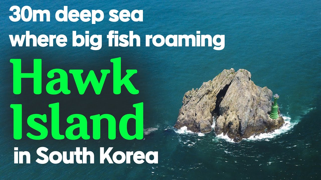 Searching for big fish on an unknown island / Shore jigging in Geoje, South Korea