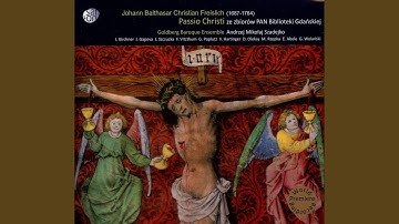 Act IV: Recitative: Drauf lief ein Kriegesknecht (Evangelist)