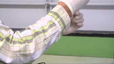 USF Chemistry: Using LabQuest with SpectraVIS