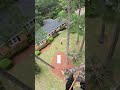 😅🤙  #arboleros #treework #treeremoval #treeclimber #climbing #arborist #humor #treeclimbing