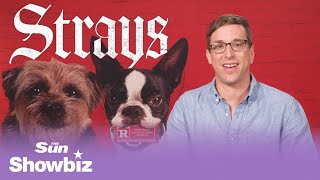 We Got the Inside Scoop from the Strays Director! 😲 Josh Greenbaum Spills All the Tea! 👀