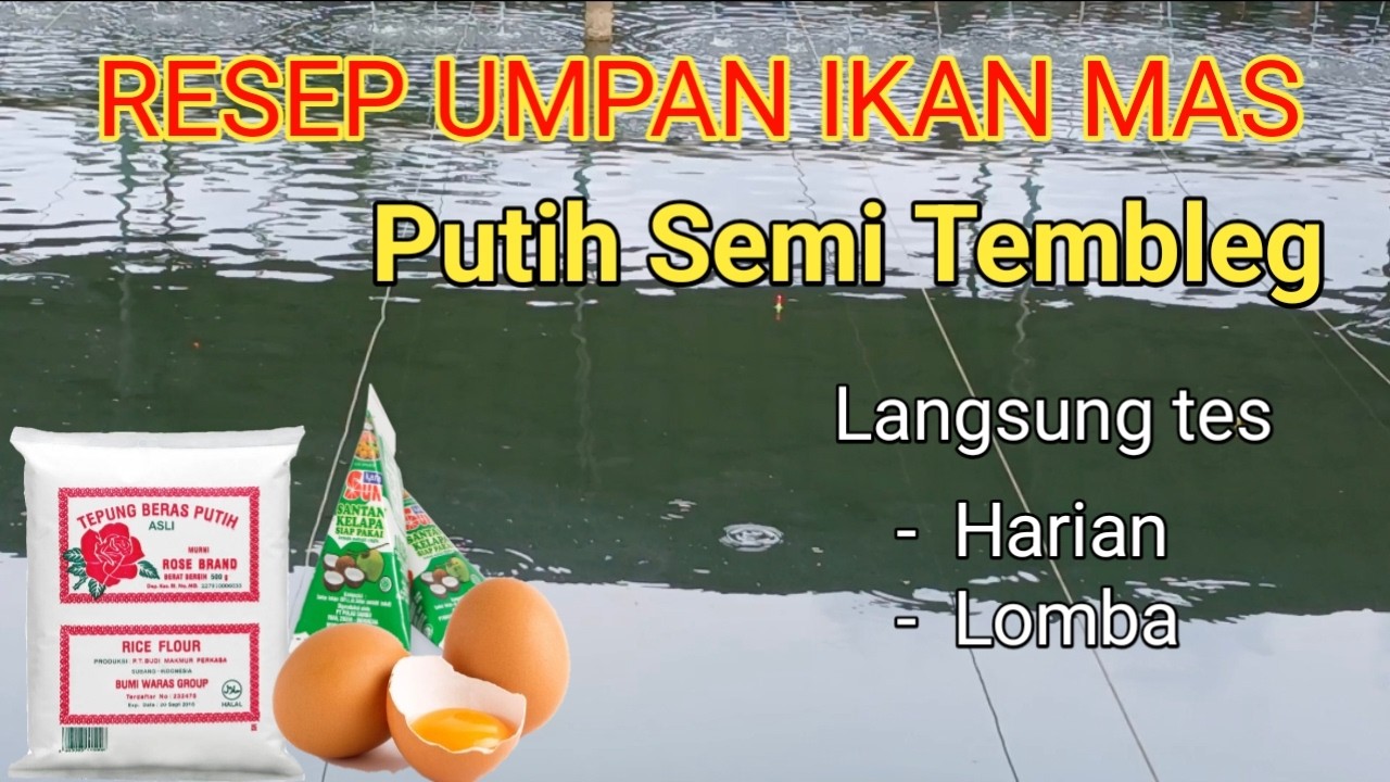 Umpan ikan mas‼️Semi Tembleg...