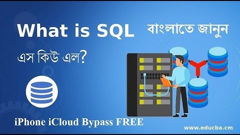 what is SQL in bengali