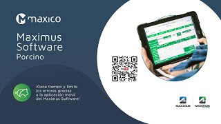Software de gestión Maximus para cerdos en tiempo real screenshot 1