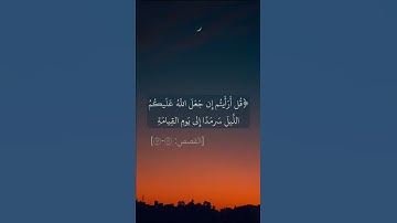 من سورة القصص بصوت صلاح بو خاطر