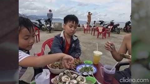 Du Lịch Hè Ở Bãi Biển Bình Sơn Phan Rang
