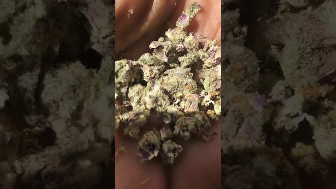 What's in my Rock N' Roll Fronto