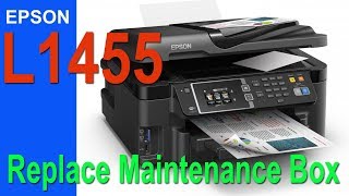 Epson L1455  Replace Maintenance Box (Easy)