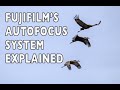 The Fujifilm X-Series Autofocus System Explained