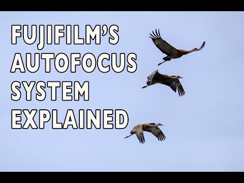 The Fujifilm X-Series