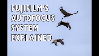 The Fujifilm X-Series Autofocus System Explained