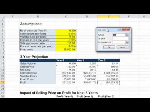 Exercise 5-4: Sensitivity Analysis - Goal Seeking