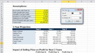Celebrity Exercise 5-4: Sensitivity Analysis - Goal Seeking Wealth